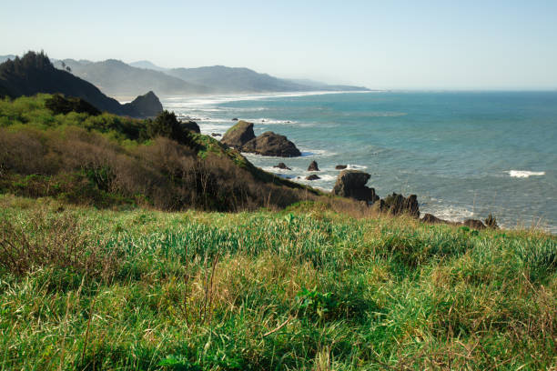 istock Oregon Coast on the Pacific Ocean Summer Days 1196912253
