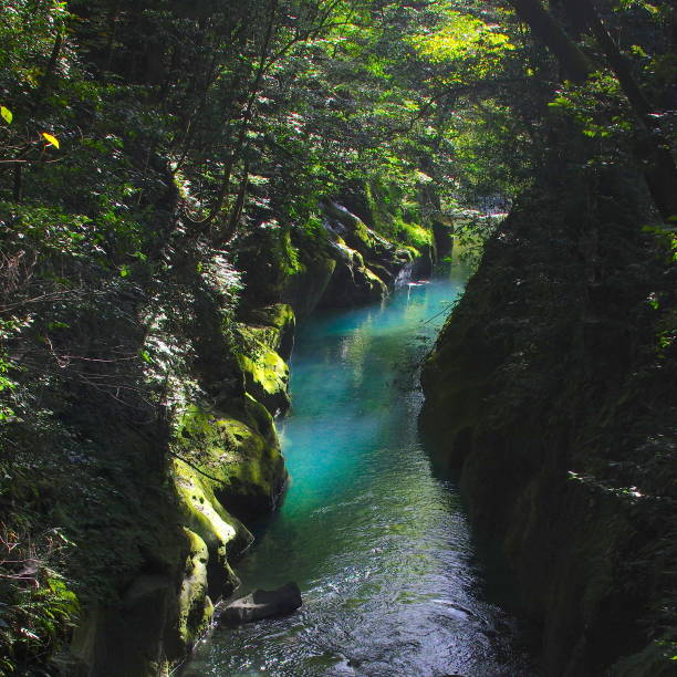 Beautiful creek at the gorge in Japan.