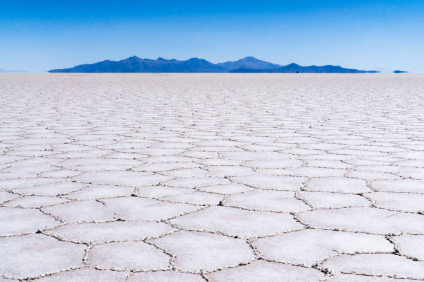 istock Salt Flats, Bolivia 1196915669