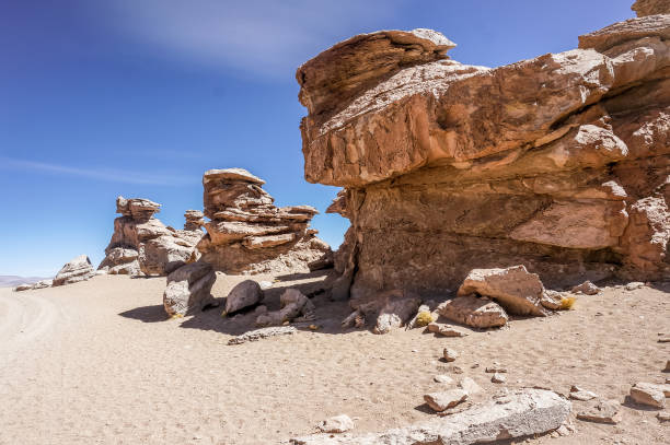 istock Salt Flats, Bolivia 1196915676