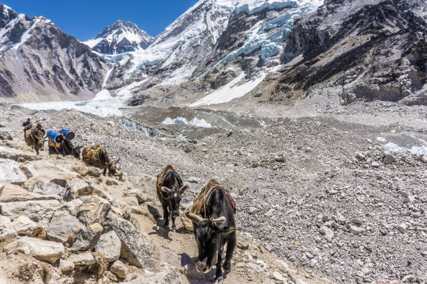 istock Gorak Shep to EBC, Nepal 1196918156