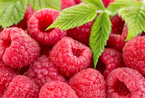 istock Ripe raspberries with leaves close-up as a background. 1196922089