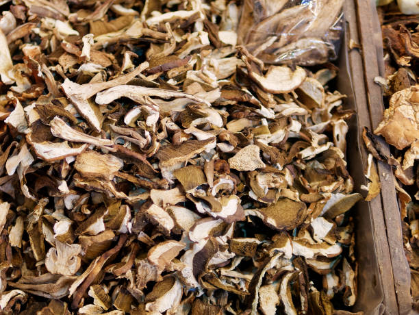 istock dry mushroom boletus edulis 1196935510
