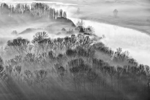 istock Sunrise over the foggy forest 1196940581