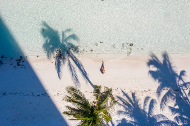 vista drone della donna che si rilassa sulla spiaggia di sabbia bianca con trecce di palma - cancun foto e immagini stock