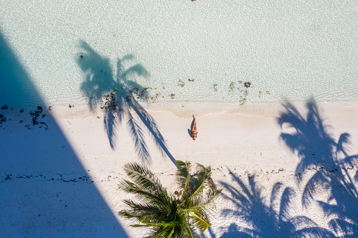Drone view of woman relaxing on white sand beach with palm tress