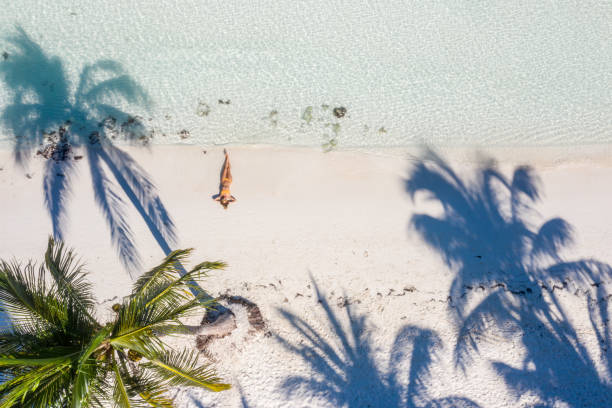 Drone view of woman relaxing on white sand beach with palm tress stock photo