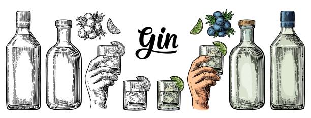 ilustrações de stock, clip art, desenhos animados e ícones de glass and bottle gin and branch juniper. vintage vector color engraving - fruit freshness tree foods and drinks