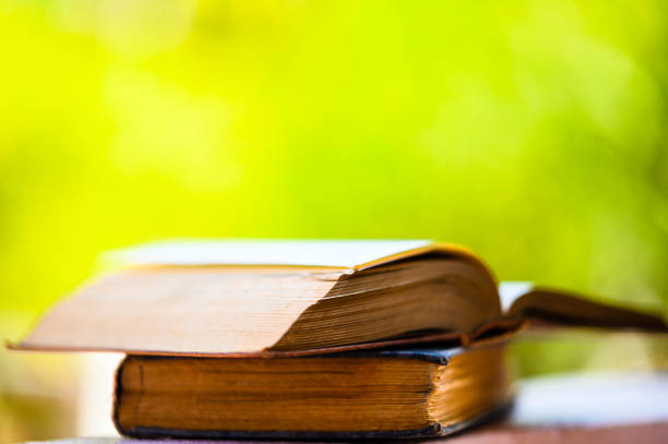 istock Two old books stacked with blurred bokeh background 1196944969