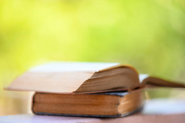 istock Two old books stacked with blurred bokeh background 1196944985