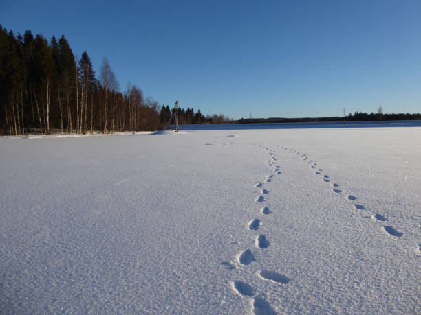 istock Frozen lake with footsteps in the snow. 1196945994