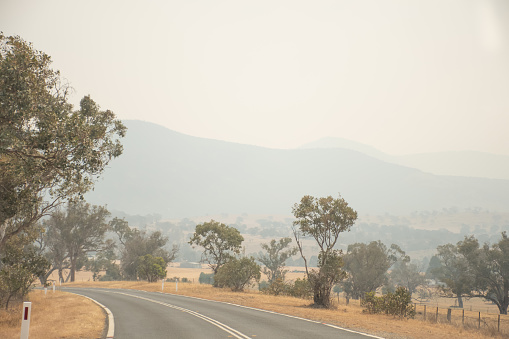 Canberra, Australia 2019-12-28 Australian bushfire: smoke haze from bushfires over the road near Gordon, ACT. Unhealthy air conditions.