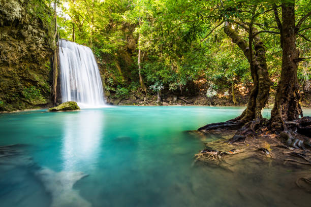 cachoeira e cor azul da água esmeralda no parque nacional de erawan. - erawan falls fotos - fotografias e filmes do acervo