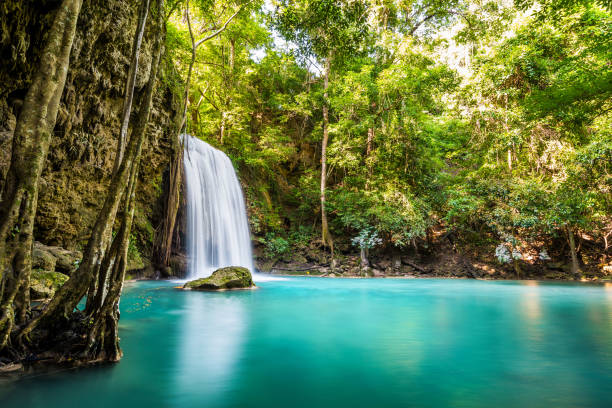 chute d'eau et couleur d'eau émeraude bleue dans le parc national d'erawan. - waterfall tropical rainforest erawan thailand photos et images de collection