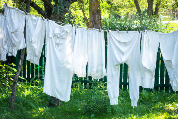 istock Vintage underwear drying in a sunny garden 1196955149