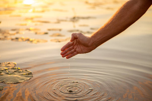 istock Human hand cupped to catch water from pond with water lily 1196958593