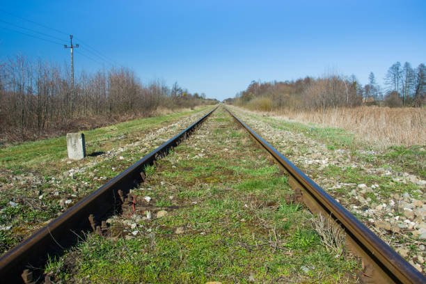 istock Railway tracks overgrown with grass 1196958626