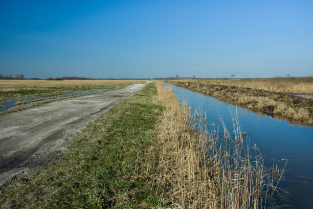 istock Road and water canal, horizon and sky 1196958630