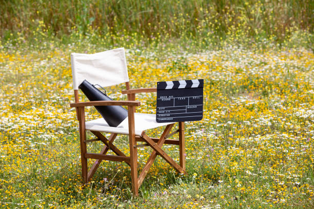 istock Director's Chair In Nature 1196958904