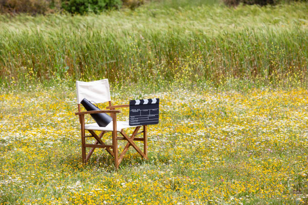 istock Director's Chair In Nature 1196958949