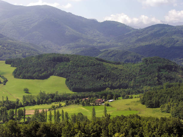 istock Ariege. Mountain and rural scenery, Pyrenees France. 1196960159