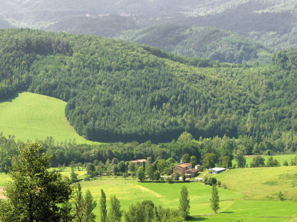 istock Ariege. Mountain and rural scenery, Pyrenees France. 1196960162