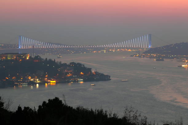 istock Bridges Of Bosphorus 1196965700