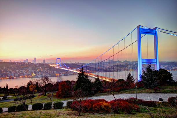 istock Bridges Of Bosphorus 1196966500