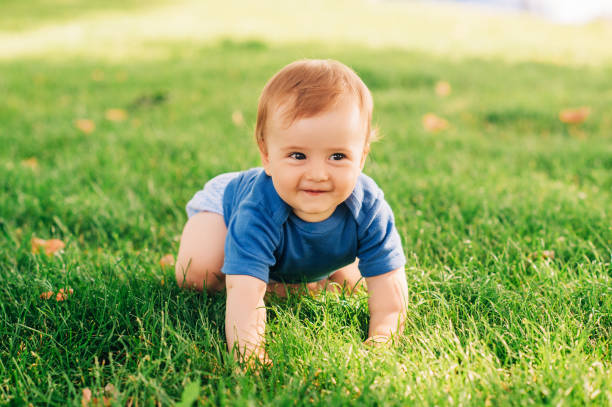 Adorable red haired baby boy crawling on fresh green grass in summer park stock photo