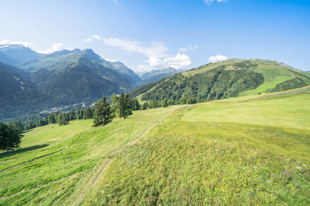istock Idyllic summer landscape in the Alps 1196972840