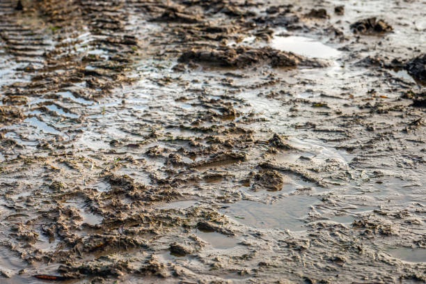 istock Soaked clay soil 1196974460