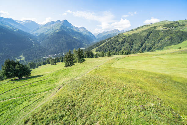 istock Idyllic summer landscape in the Alps 1196974608