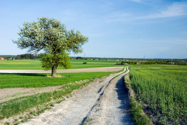 STITCHED from 2 D800 frames