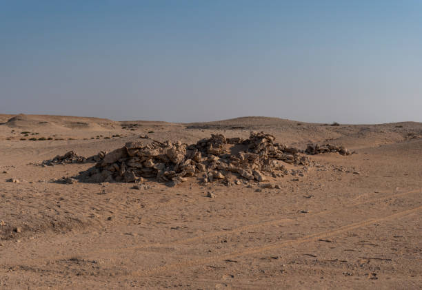 istock Views around Hawar Island in the Arabian Gulf, Bahrain 1196977461