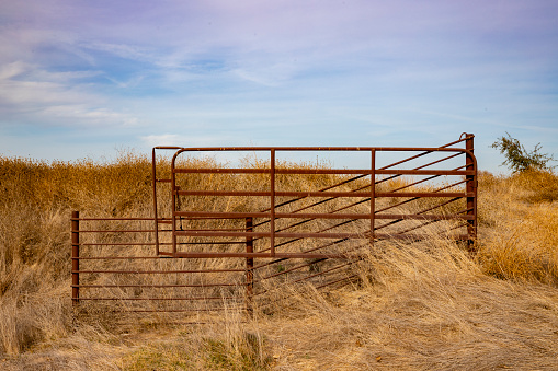 Old rusted metal gate at entrance to rural field  Yellow weeds and cloudy sky finish picture.Series 1 of 4.
