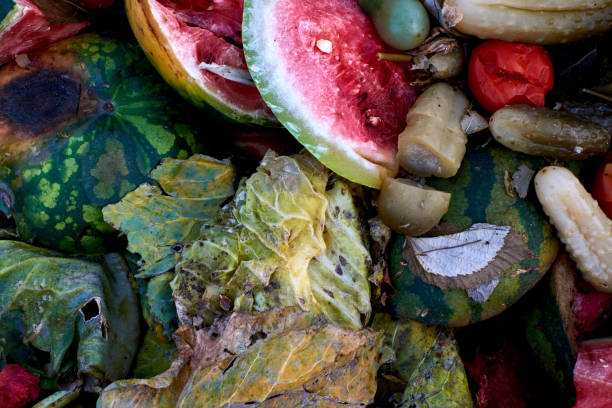 istock rotten vegetables and berries thrown in the trash 1196980359