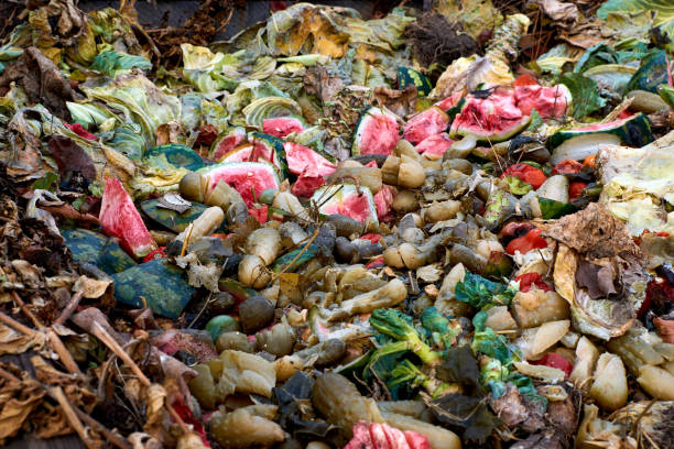 istock rotten vegetables and berries thrown in the trash 1196980360