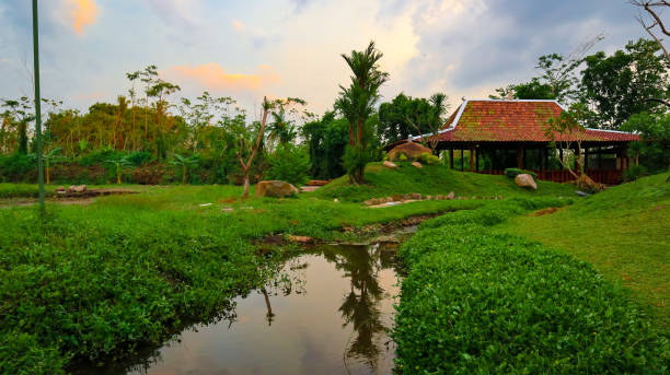 River view at the field River at the field in Yogyakarta, Indonesia thames valley stock pictures, royalty-free photos & images