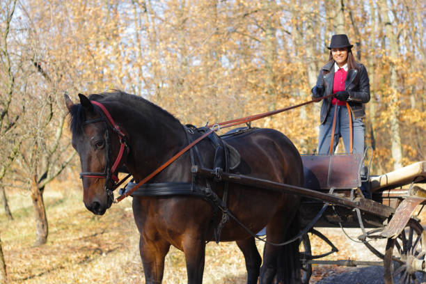 istock Girl On Horsedrawn Carriage 1196983078