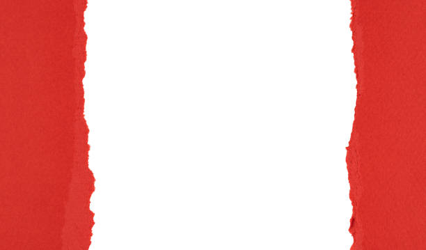 istock Torn paper with rolled edge with blank space. Torn paper with white copy space. Empty space for your message. Two pieces of torn paper with opening showing white clipping path. 1196983460