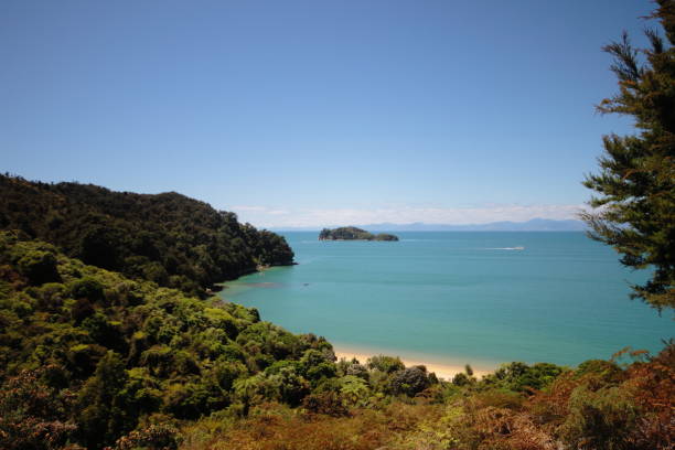istock Abel Tasman National Park 1196984383