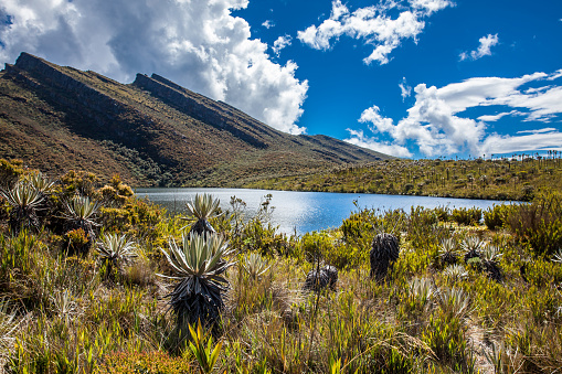 Hermoso paisaje de montañas andinas colombianas que muestra nade a la vegetación tipo paramo en el departamento de Cundinamarca photo