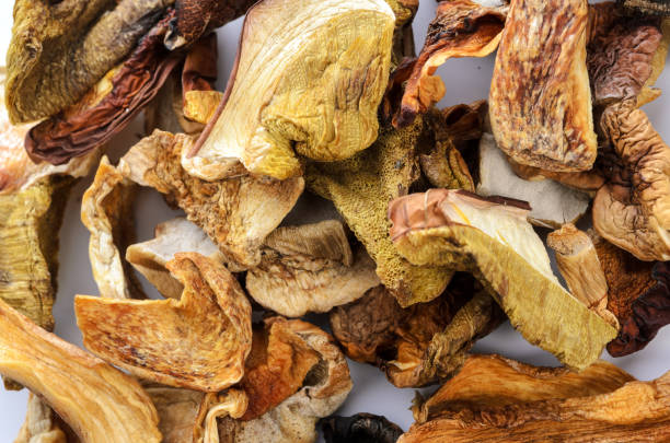 istock Group of dried mushrooms 1196986378