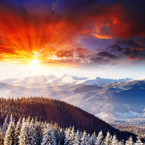 istock Beautiful winter landscape view 119698763