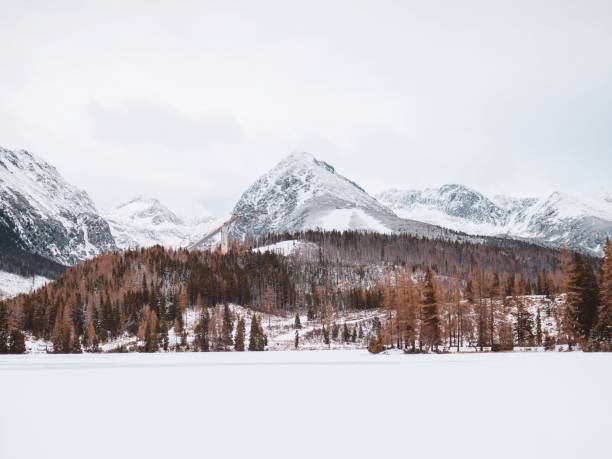 istock Impressive mountains band forest in Siberia, Russia 1196989398