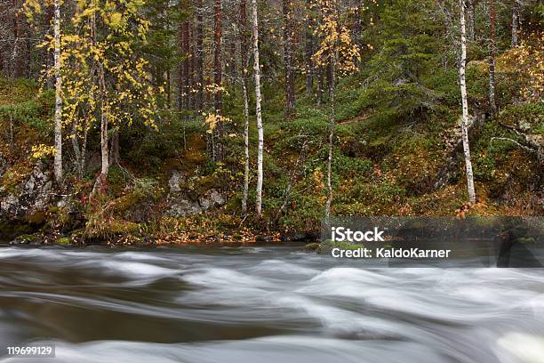 Colores Otoñales En El Bosque Foto de stock y más banco de imágenes de Agua - Agua, Aire libre, Azul