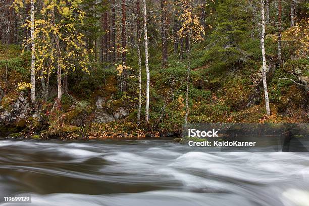 Outono Cores Em Floresta - Fotografias de stock e mais imagens de Ao Ar Livre - Ao Ar Livre, Azul, Colorido