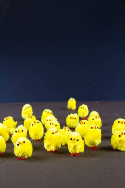 istock Cute Easter chick toys on dark background. 1196991450