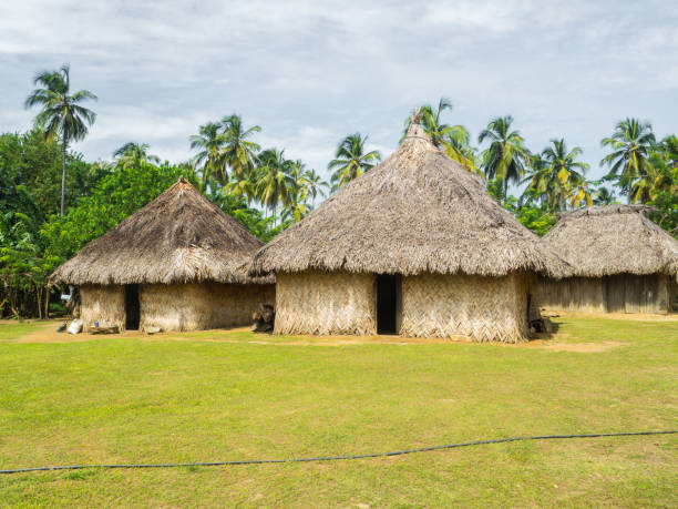 деревня архуакос в колумбии - national park tribal стоковые фото и изображения