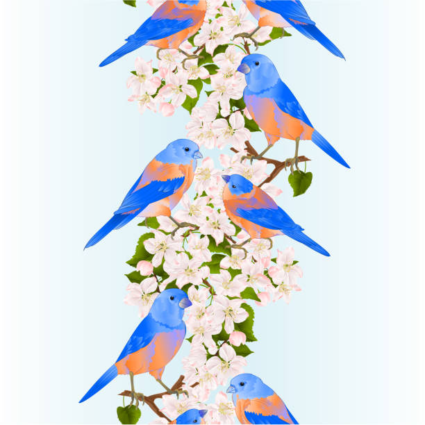 illustrazioni stock, clip art, cartoni animati e icone di tendenza di bordo verticale senza cuciture sfondo bluebirds tordo piccolo uccello su un ramo di melo con fiori sfondo primaverile illustrazione vettoriale vintage modificabile - spring birdsong bird seamless